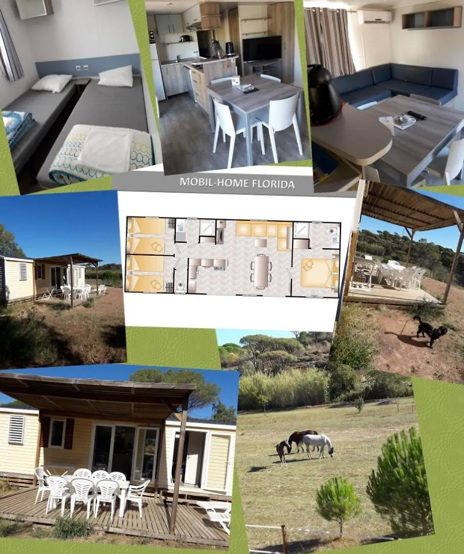 Campsite Mobil Home Florida - Camping Les Cigales - 5 Etoiles Le Muy France